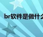 br软件是做什么的（br软件是做什么用的）