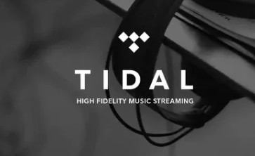 Tidal首席执行官确认推出高分辨率FLAC并暗示支持MQA