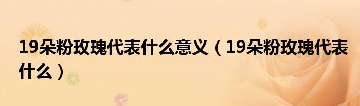 19朵粉玫瑰代表什么意义（19朵粉玫瑰代表什么）