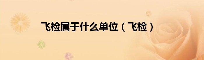 飞检属于什么单位（飞检）