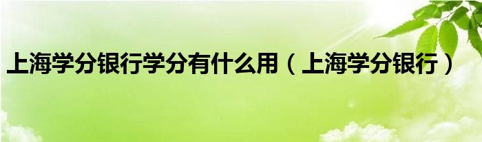 上海学分银行学分有什么用（上海学分银行）