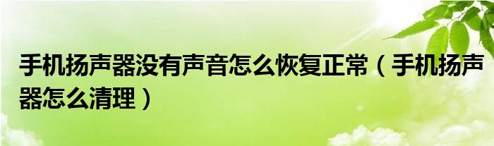 手机扬声器没有声音怎么恢复正常（手机扬声器怎么清理）