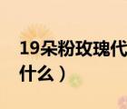 19朵粉玫瑰代表什么意义（19朵粉玫瑰代表什么）