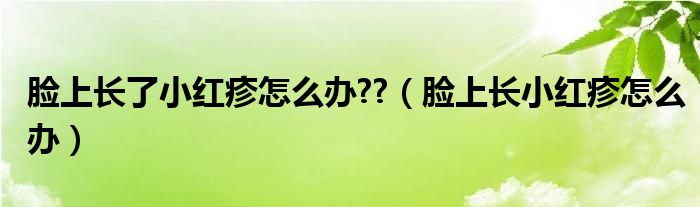 脸上长了小红疹怎么办??（脸上长小红疹怎么办）