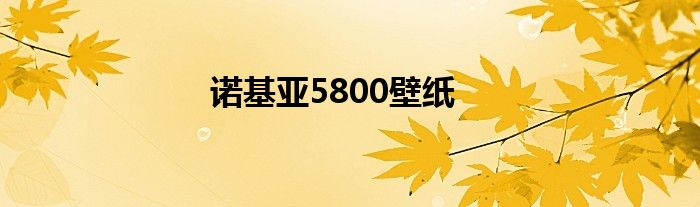 诺基亚5800壁纸