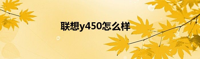 联想y450怎么样