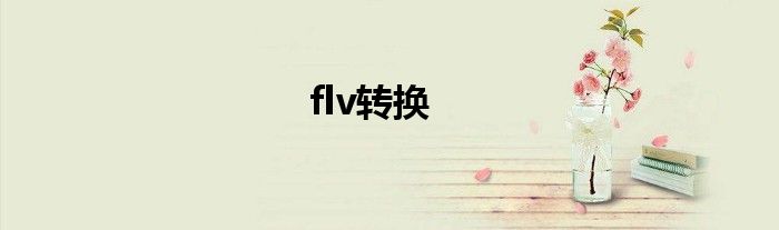 flv转换