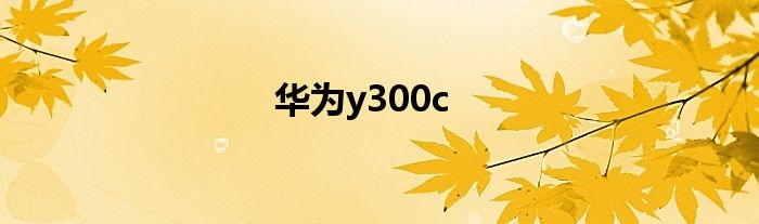 华为y300c