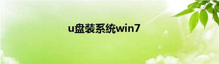 u盘装系统win7