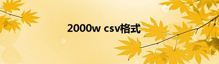 2000w csv格式