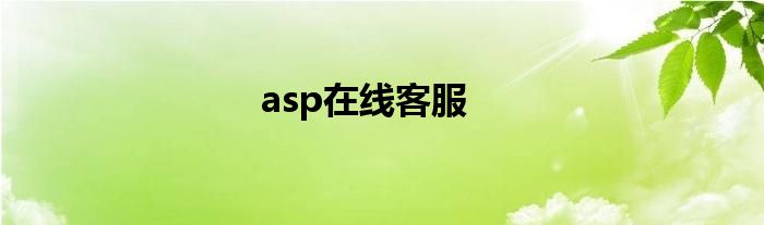 asp在线客服