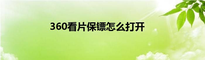 360看片保镖怎么打开