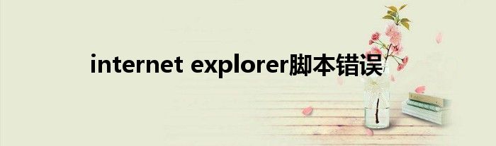 internet explorer脚本错误