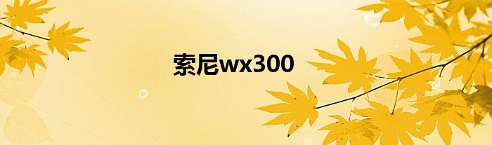 索尼wx300