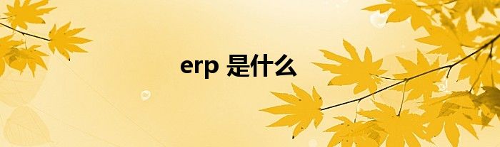 erp 是什么