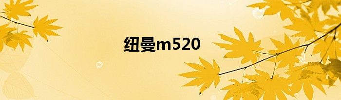 纽曼m520