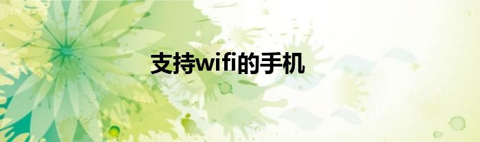 支持wifi的手机