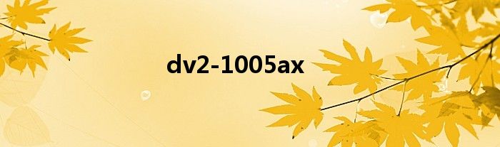 dv2-1005ax