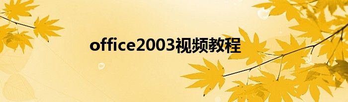 office2003视频教程