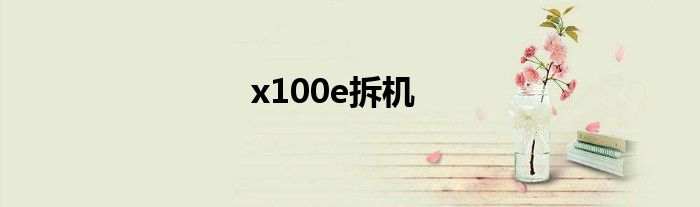 x100e拆机