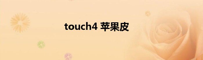 touch4 苹果皮