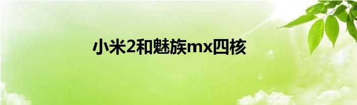 小米2和魅族mx四核