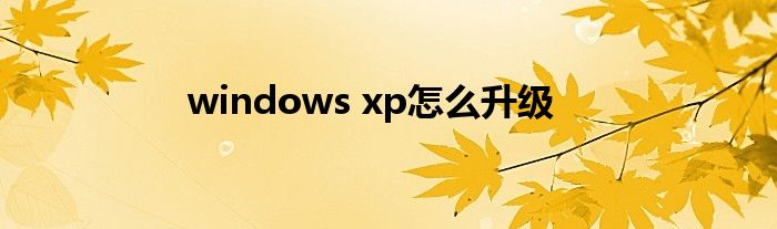 windows xp怎么升级