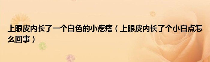 上眼皮内长了一个白色的小疙瘩（上眼皮内长了个小白点怎么回事）