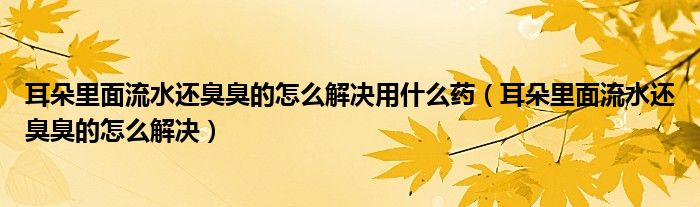 耳朵里面流水还臭臭的怎么解决用什么药（耳朵里面流水还臭臭的怎么解决）