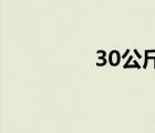 30公斤电子秤多少钱一台