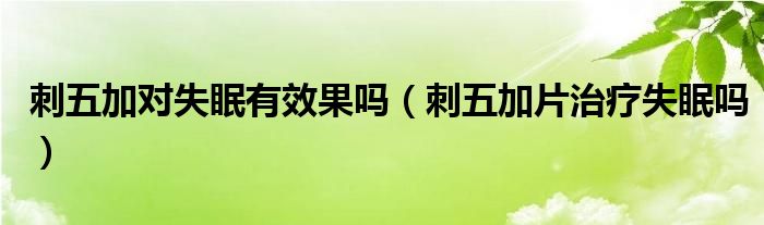 刺五加对失眠有效果吗（刺五加片治疗失眠吗）