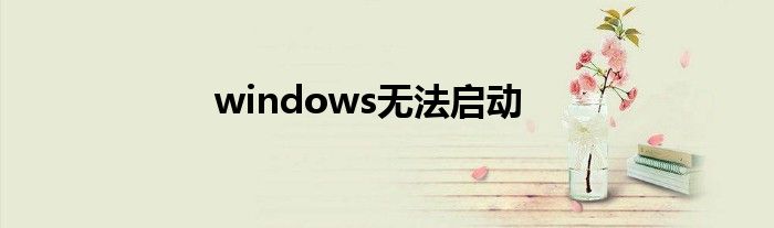 windows无法启动