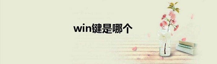 win键是哪个