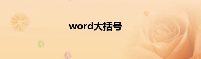 word大括号