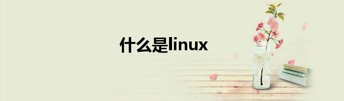 什么是linux