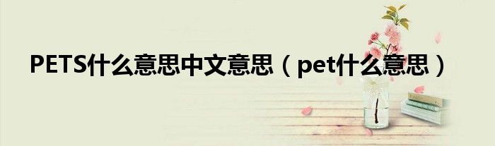 PETS什么意思中文意思（pet什么意思）