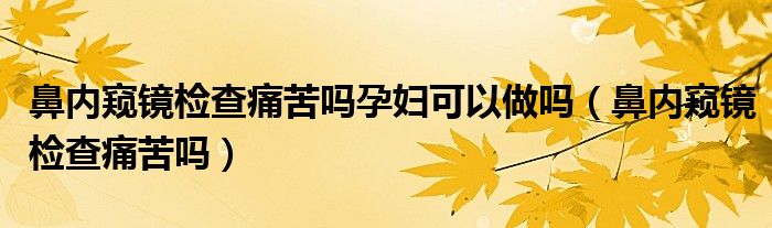 鼻内窥镜检查痛苦吗孕妇可以做吗（鼻内窥镜检查痛苦吗）