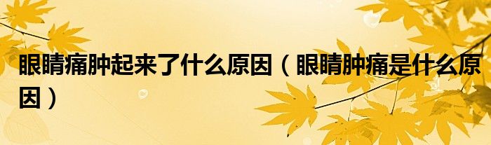 眼睛痛肿起来了什么原因（眼睛肿痛是什么原因）