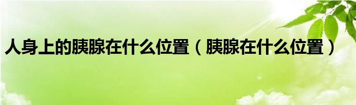 人身上的胰腺在什么位置（胰腺在什么位置）