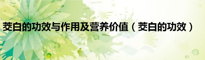 茭白的功效与作用及营养价值（茭白的功效）