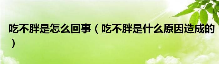 吃不胖是怎么回事（吃不胖是什么原因造成的）