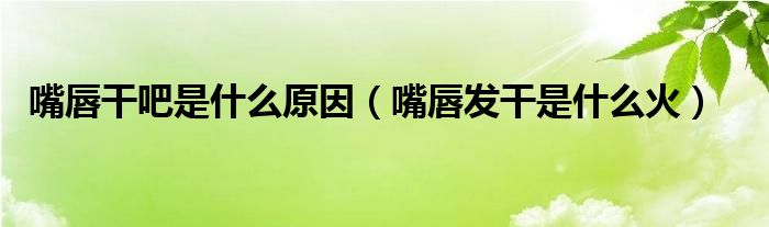 嘴唇干吧是什么原因（嘴唇发干是什么火）