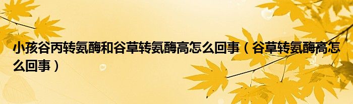 小孩谷丙转氨酶和谷草转氨酶高怎么回事（谷草转氨酶高怎么回事）