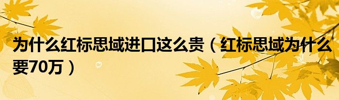 为什么红标思域进口这么贵（红标思域为什么要70万）