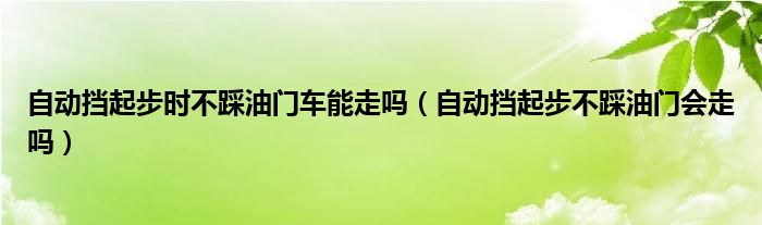 自动挡起步时不踩油门车能走吗（自动挡起步不踩油门会走吗）