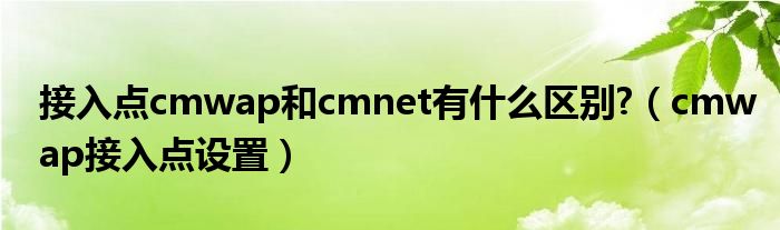 接入点cmwap和cmnet有什么区别?（cmwap接入点设置）