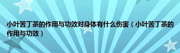 小叶苦丁茶的作用与功效对身体有什么伤害（小叶苦丁茶的作用与功效）