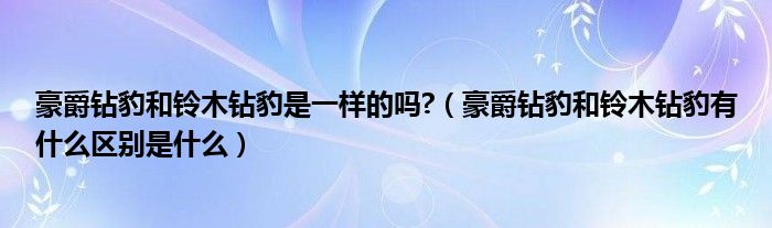 豪爵钻豹和铃木钻豹是一样的吗?（豪爵钻豹和铃木钻豹有什么区别是什么）