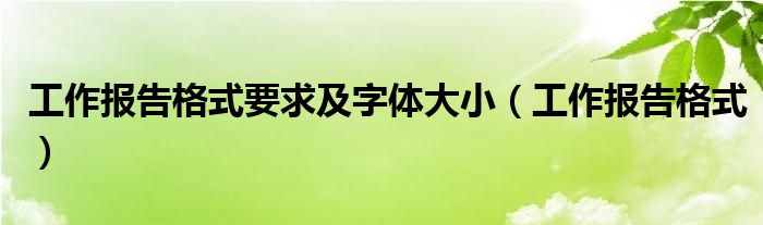 工作报告格式要求及字体大小（工作报告格式）