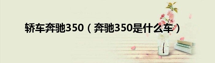 轿车奔驰350（奔驰350是什么车）